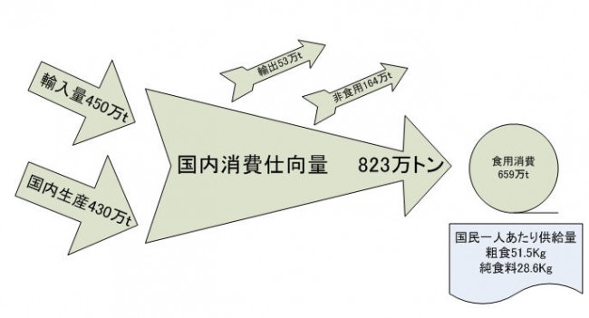 国内消費仕向量